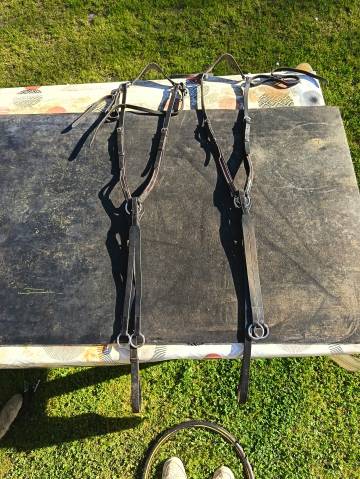 Mat&eacute;riel &eacute;quitation 