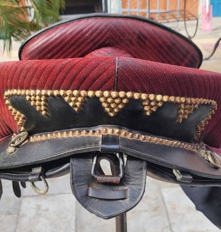 Selle portugaise Ludomar