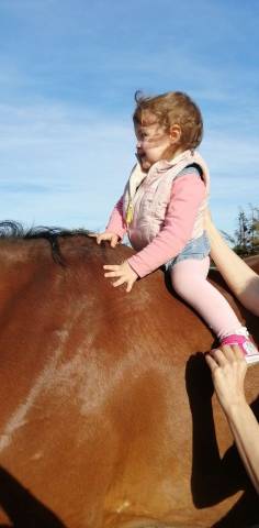 Volubilis cherche sa famille pour la vie