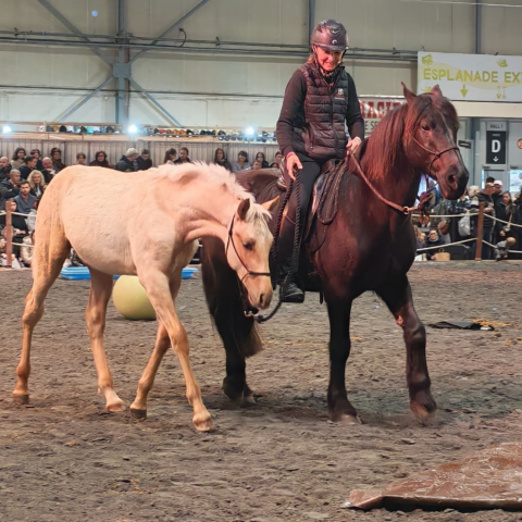 Emporio, un très beau mental