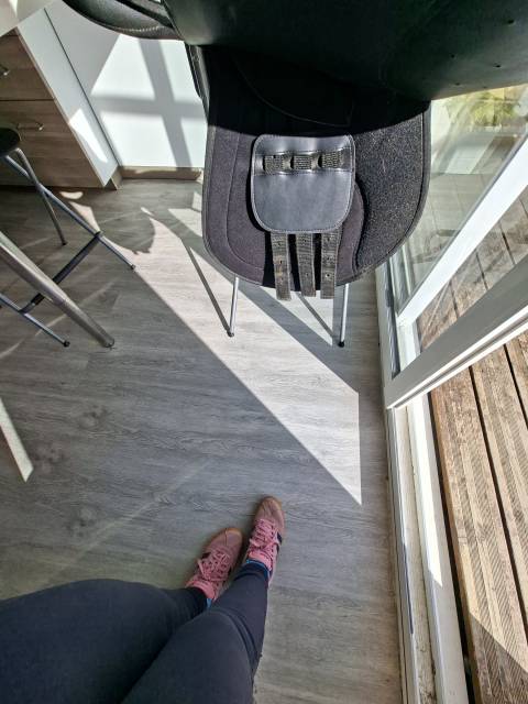 Selle Norton dressage 