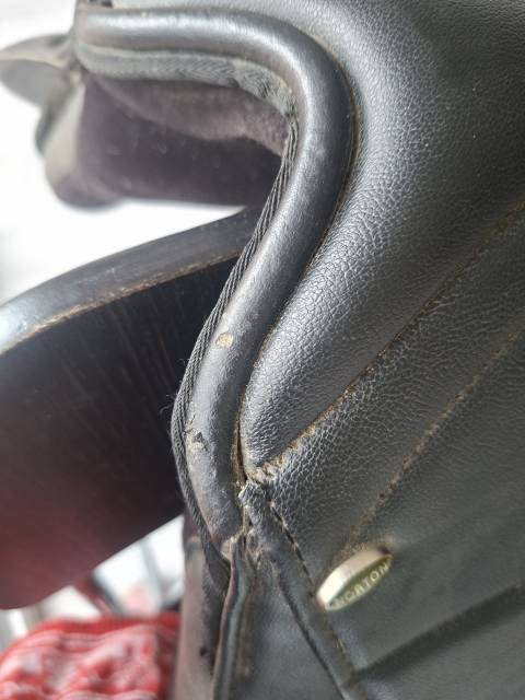 Selle Norton dressage 