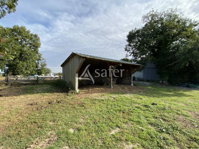 Propriété equestre 7ha