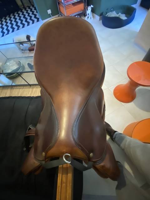 SELLE DELGRANGE VIRTUOSE 2021