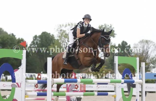 ? à vendre – hongre de 11 ans par tornesh ?