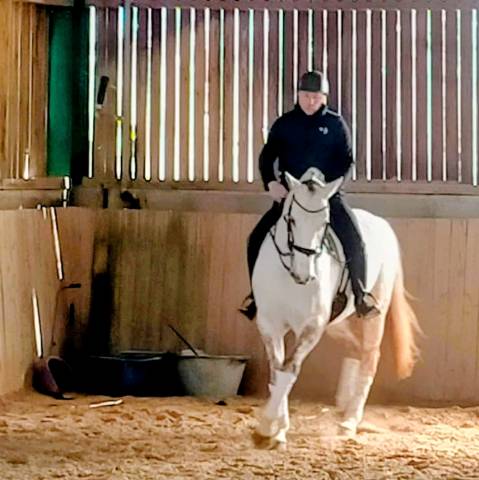 Jument lusitanienne/allemande 