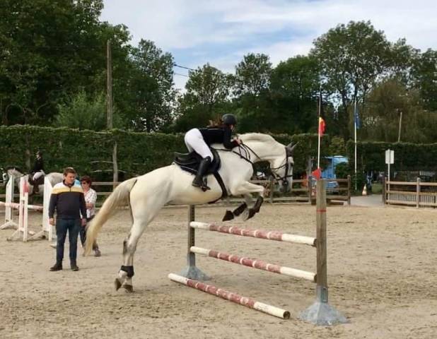 Magnifique jument bwp