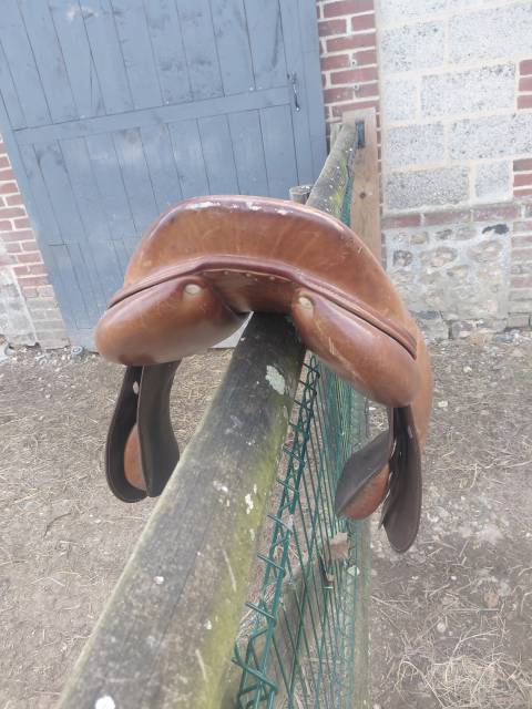 selle antares taille 17 pouces    Quartier 2A  De 2017