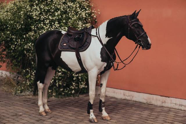 Tapis de selle Dark Sky DRESSAGE - Equestrian Stockholm - Gris fonc&eacute;
