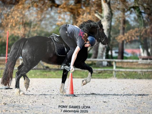 Super ponette à vendre