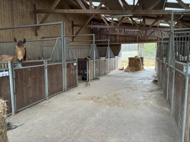 Centre équestre sur 12 ha, ploërmel / guer