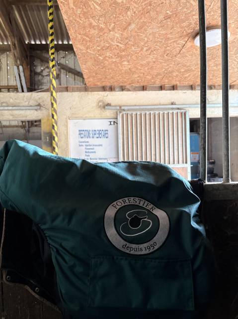 selle forestier &agrave; vendre 