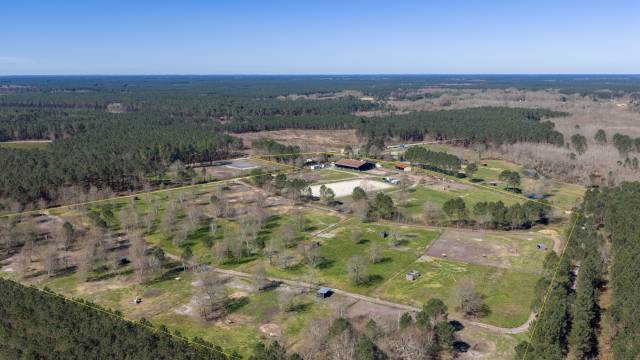 à seulement 20 min de lacanau, sur plus de 10 hectares