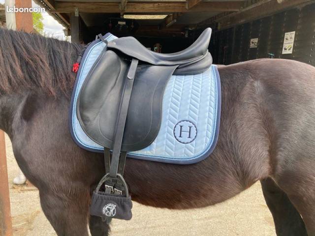 Selle de dressage Childeric DHE 17,5 