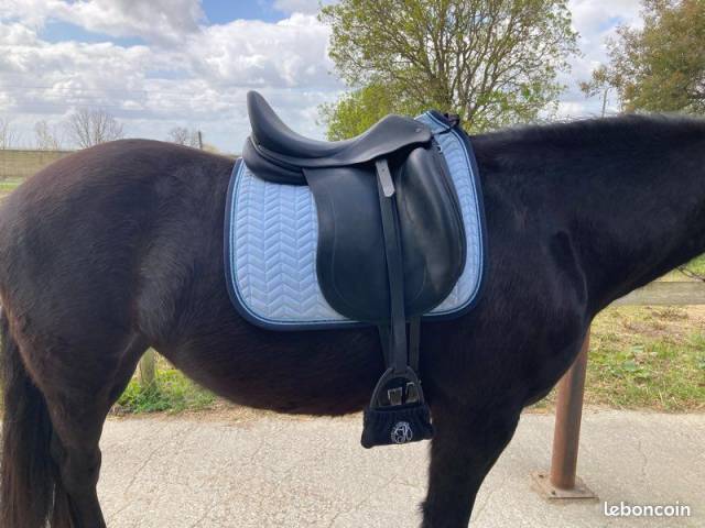 Selle de dressage Childeric DHE 17,5 