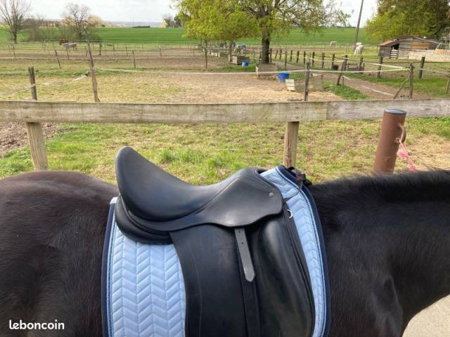 Selle de dressage Childeric DHE 17,5 