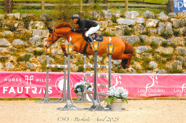 Très bonne jument de concours 125-135