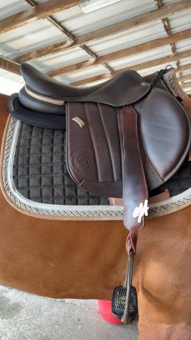 Selle forestier S&eacute;oul 