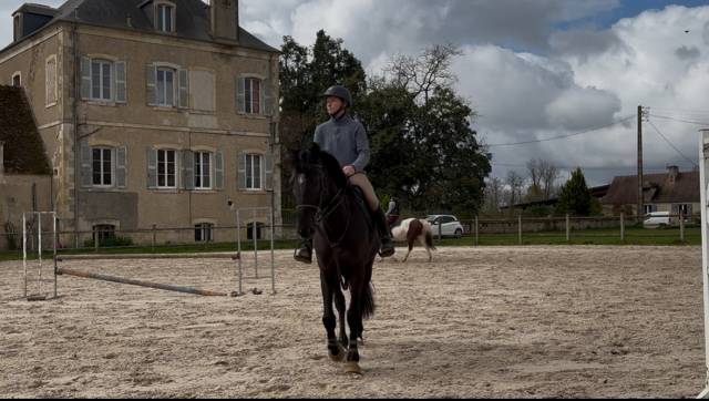 Jument 5ans cso - loisir - extérieur 