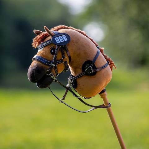 Collier de chasse Dolly Hobby Horse - QHP - Cuir avec pads confort