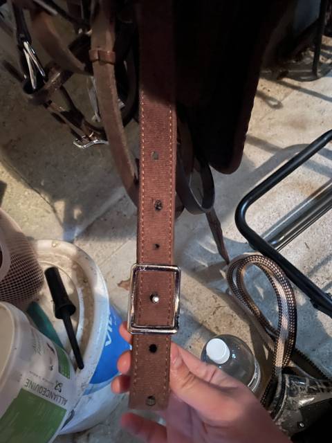 Selle sans ar&ccedil;on