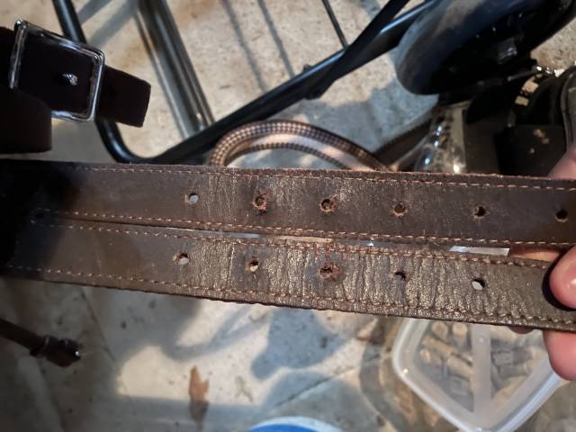 Selle sans ar&ccedil;on