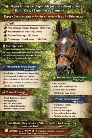 Pension chevaux de courses (entraînement, débourrage..)