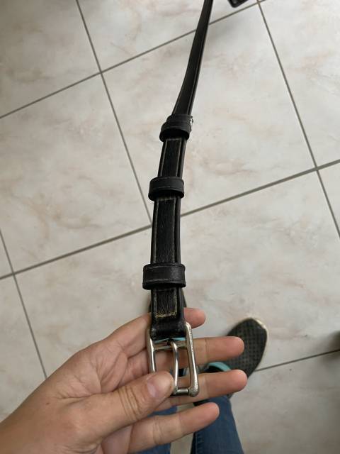 Selle dressage Isabell Werth