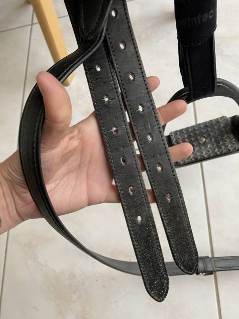 Selle dressage Isabell Werth