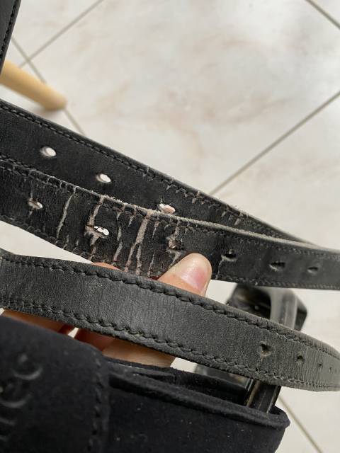 Selle dressage Isabell Werth