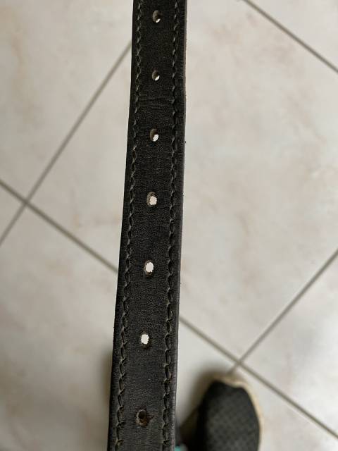 Selle dressage Isabell Werth