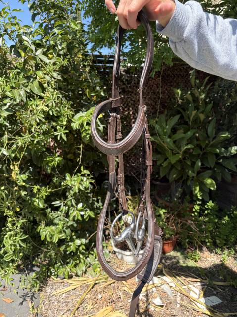 Filet anatomique HKM 