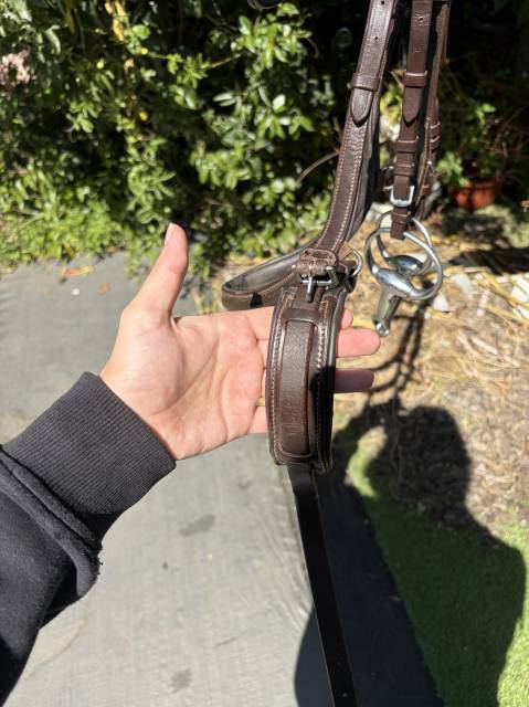 Filet anatomique HKM 