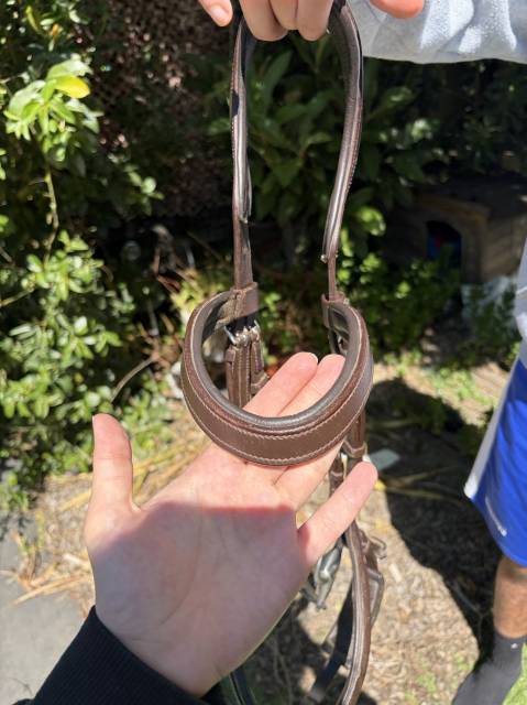 Filet anatomique HKM 