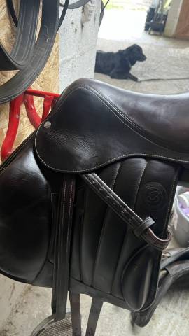 Selle forestier boekelo