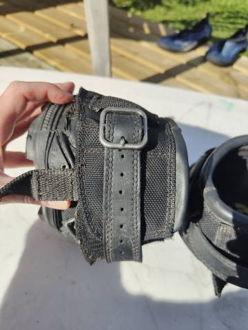 Hippodandales Old Mac's G2 T03