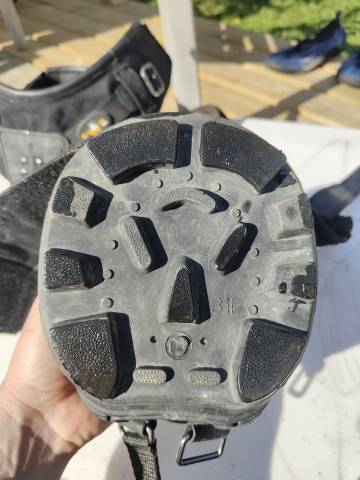 Hippodandales Old Mac's G2 T03