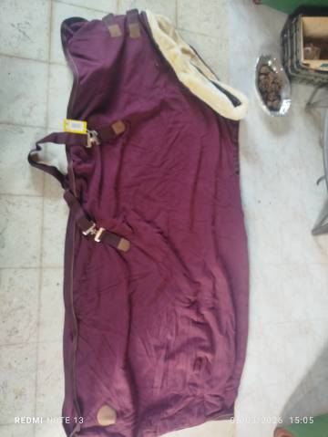 Chemise séchante Félix bulher T165cm