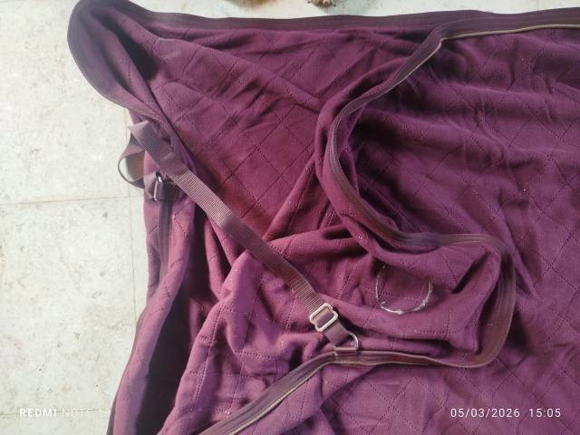 Chemise s&eacute;chante F&eacute;lix bulher T165cm