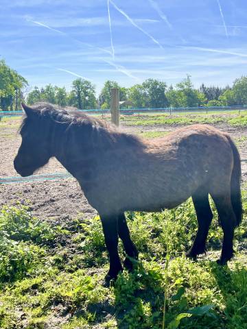 Nignonne oc très gentille et bien mintee