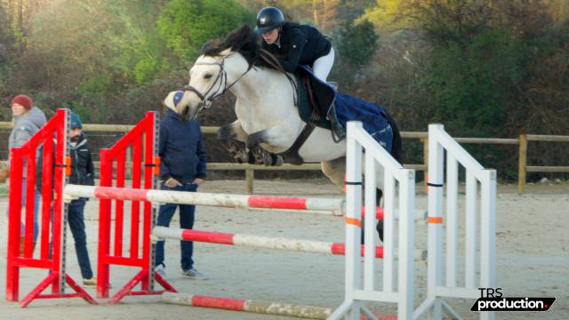 Poney d’as à vendre 