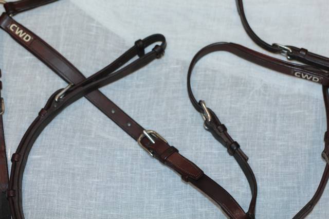 Collier de chasse &agrave; pont r&eacute;glable Sport CWD