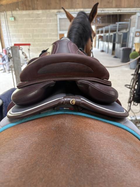 Devoucoux chiberta lab