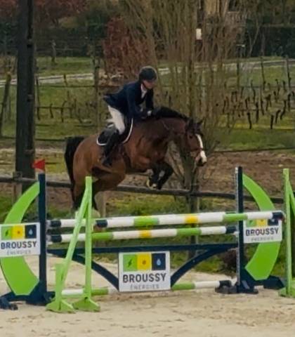 Jument 6 ans / belles origines / modèle / respect 