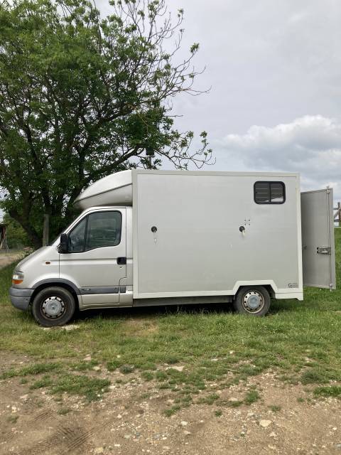 Renault master deux chevaux tête arrière 
