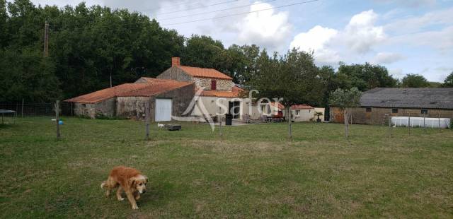 Propriété rurale équestre entre ville et océan