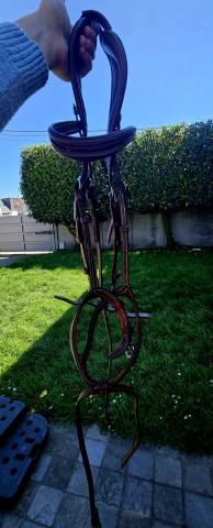 Bridon CWD Flexmotion avec r&ecirc;nes biothane CWD