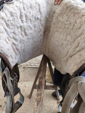 Selle Arizona Barefoot 