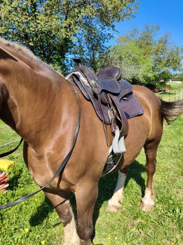 Selle Arizona Barefoot 