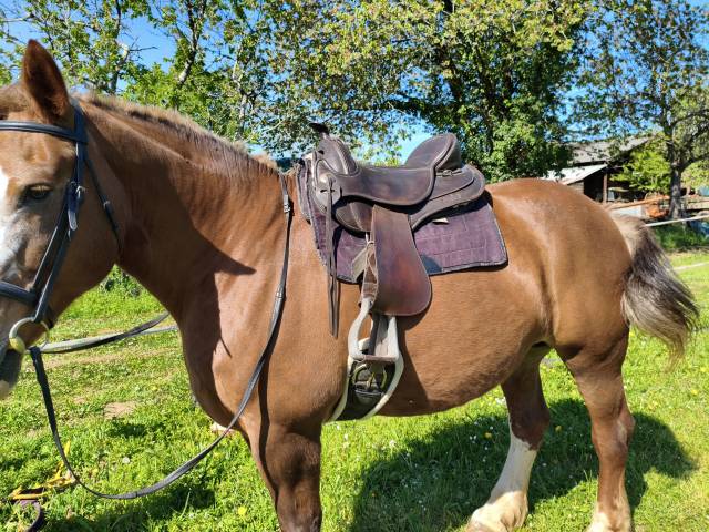 Selle Arizona Barefoot 